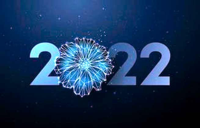 2022 Wikireve