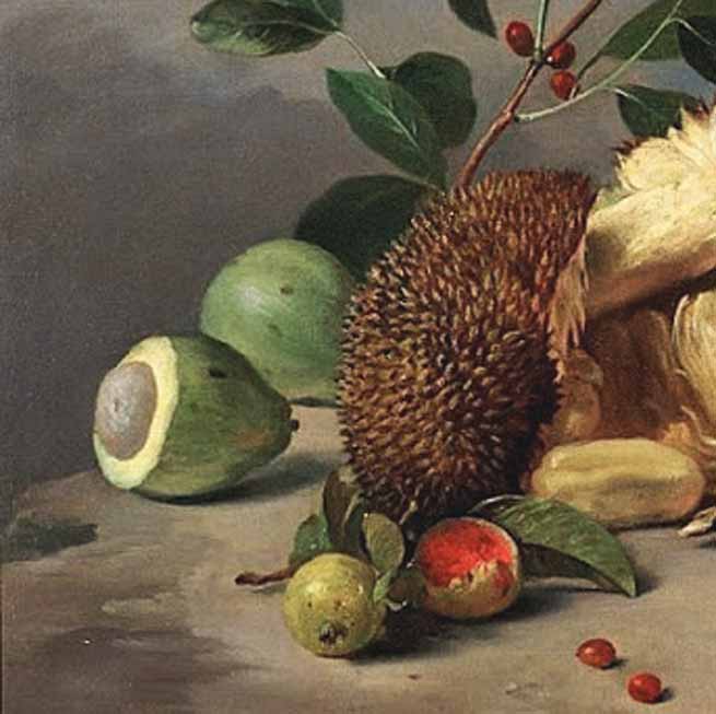 Signification Reves avocat fruit