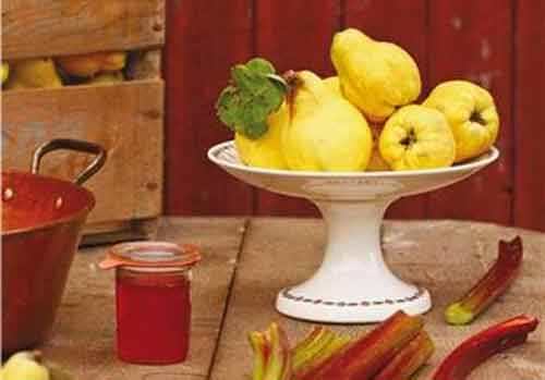 Signification Reve coing