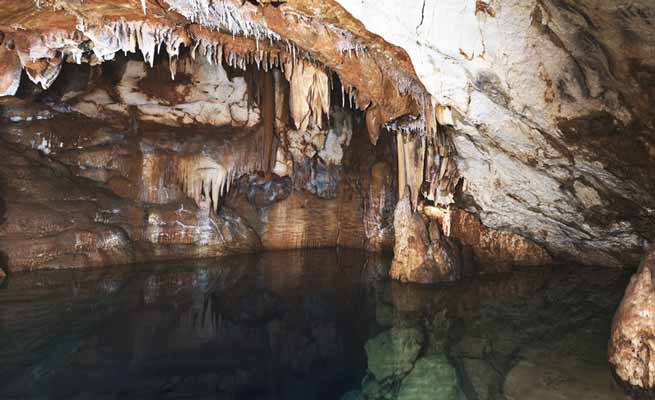 Signification Reves grotte ours