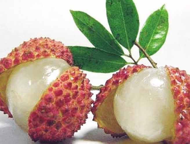 Significations Rêves Litchi