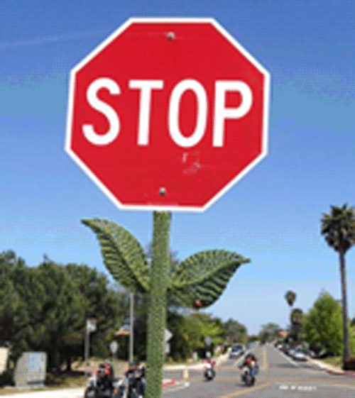 Stop-Sign-Flower