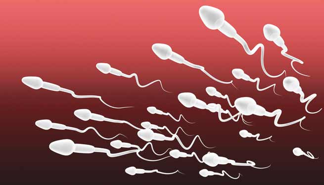 Signification Reves sperme