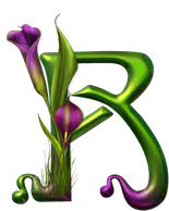 Signification Reve R